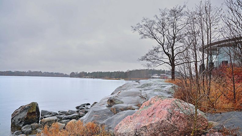 Lauhaa säätä Helsingin Kulosaaressa marraskuussa 2015.