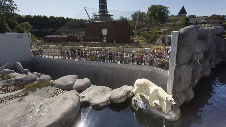 Jääkarhu Kööpenhaminan eläintarhassa