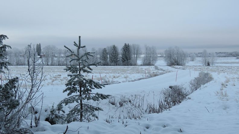 Luminen maisema Utajärvellä 14. joulukuuta 2015. Kuva: Sinikka Kujala