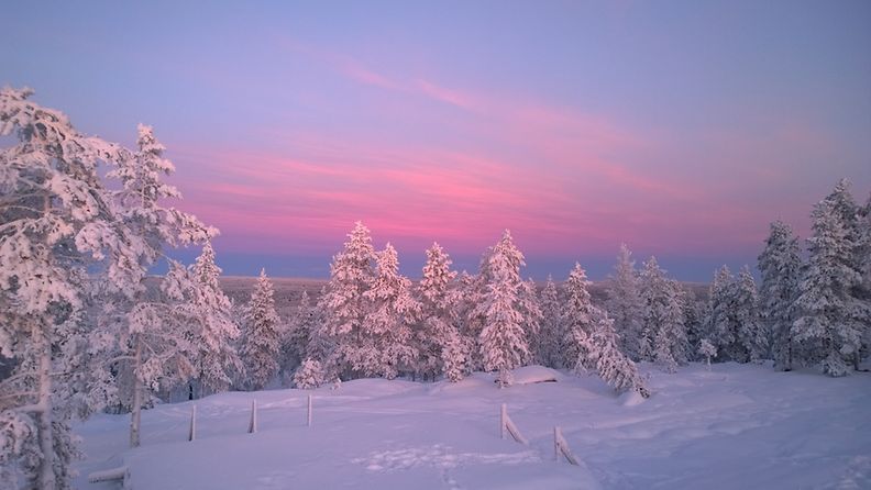 Joulukuun talvipäivä Ounasvaaralla. Kuva: Erkki Kylmälä