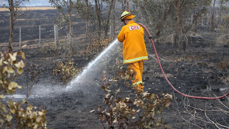 Australia maastopalo metsäpalo victorian osavaltio