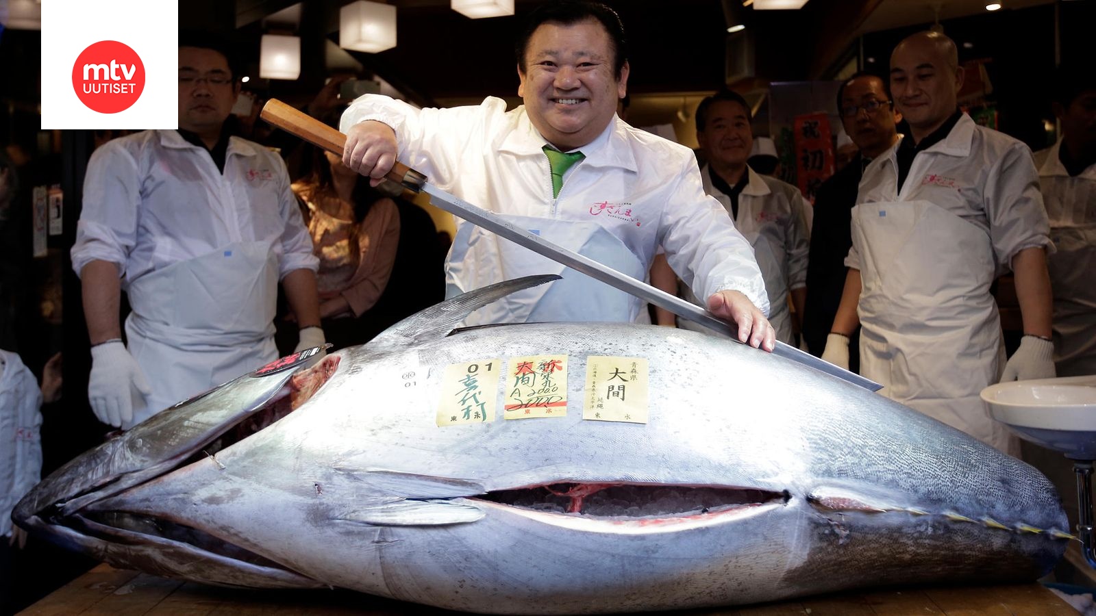 Video: Valtava uhanalainen tonnikala myytiin sushiksi yli 100 000 eurolla -  