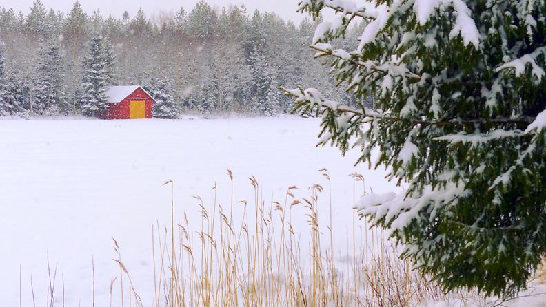 Lunta satoi 20. tammikuuta 2016 Mustasaaressa. Kuva: Matti Hietala