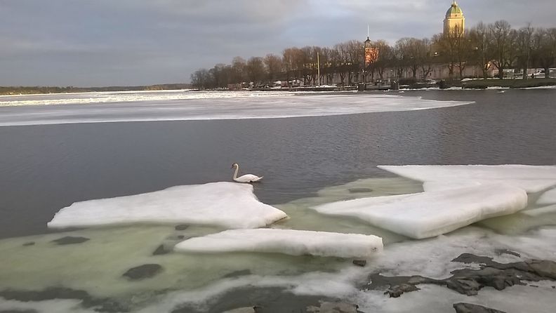 Suomenlinnan rantaa tammikuun lopussa 2016. Kuva: Anja Pitkänen