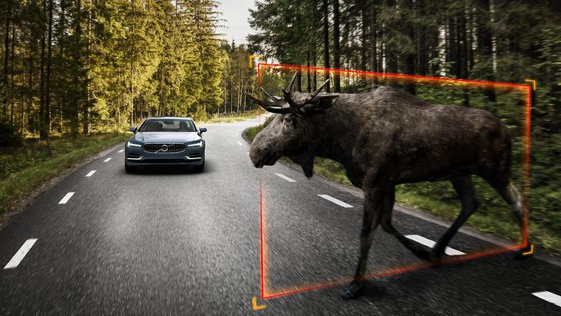 Volvo Large Animal Detection