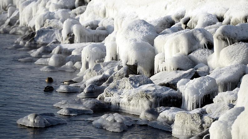 meri talvi jäätynyt kylmä kylmyys pakkanen suomenlahti