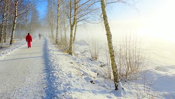 Luminen maisema Vaasassa 3. helmikuuta 2016. Kuva: Matti Hietala
