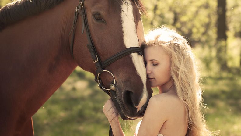 Hevoset osaavat tulkita ihmisten ilmeitä, kertoo uusi selvitys.