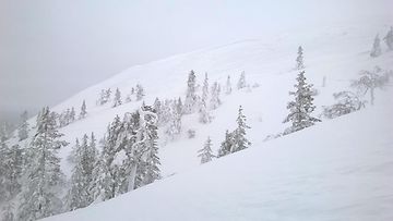 Kesänkitunturin lumivyöryalue Pirunkurun toiselta puolelta katsottuna 13. helmikuuta 2016. Kuva: Antti Hult