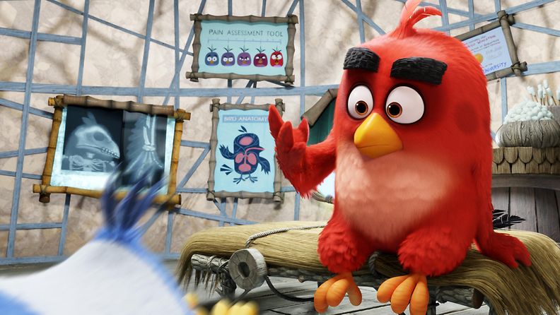 Angry Birds -elokuva 1