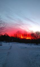 Auringonnousu Kumpulassa 18. helmikuuta 2016. Kuva: Eva Hjort