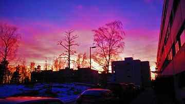 Auringonlasku Kulosaaressa 17. helmikuuta 2016. Kuva: Jonna Sundberg