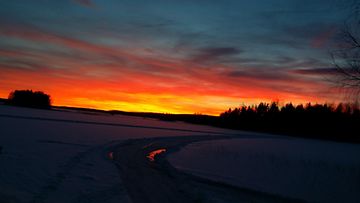 Luhangan auringonlasku 17. helmikuuta 2016. Kuva: Mikko Majanen