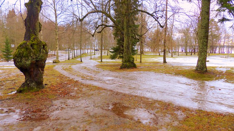 Lauhaa ja märkää säätä Vaasassa 8. helmikuuta 2016. Kuva: Matti Hietala