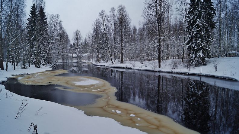 Pilvinen talvipäivä Jyväskylässä 22. helmikuuta 2016. Kuva: Maarit Siitonen