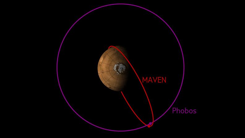 The orbit of MAVEN sometimes crosses the orbit of Phobos. This image shows the configuration of the two orbits in early December 2015, when MAVEN's Phobos observations were made.
