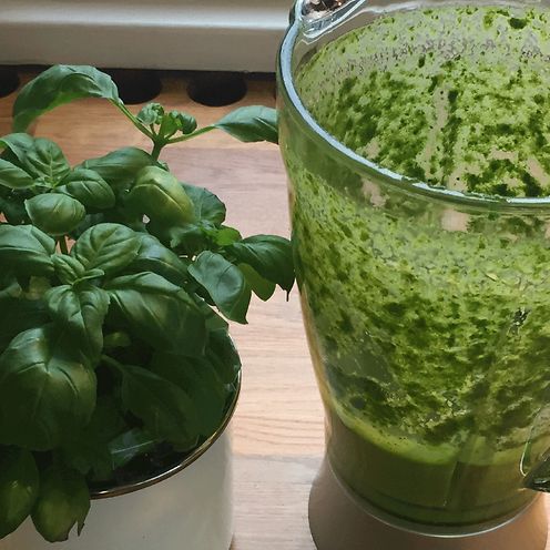 basilika pesto