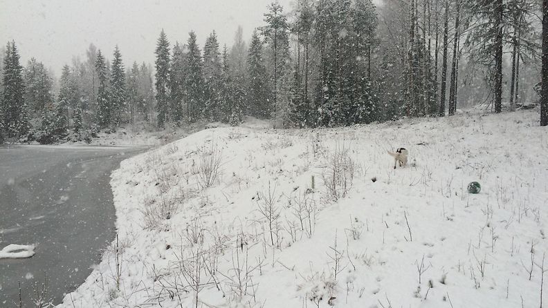 Sää talvi lumi räntä lukijan kuva 1