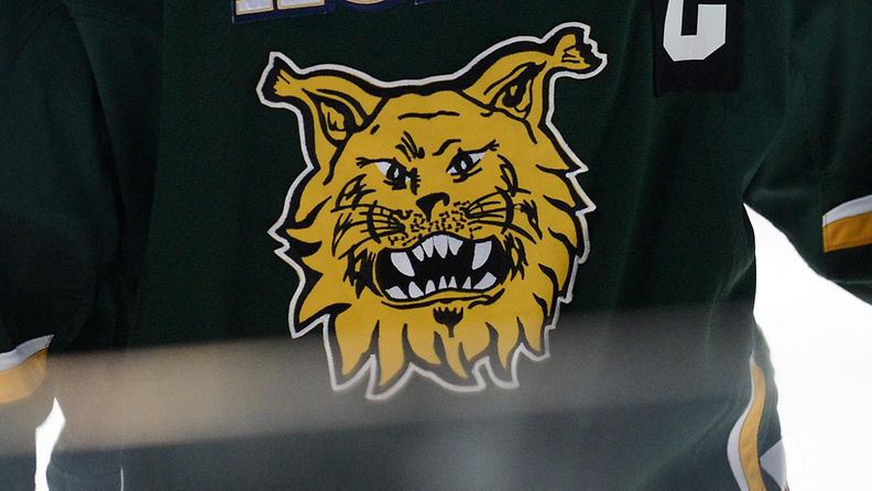 Ilves 2016