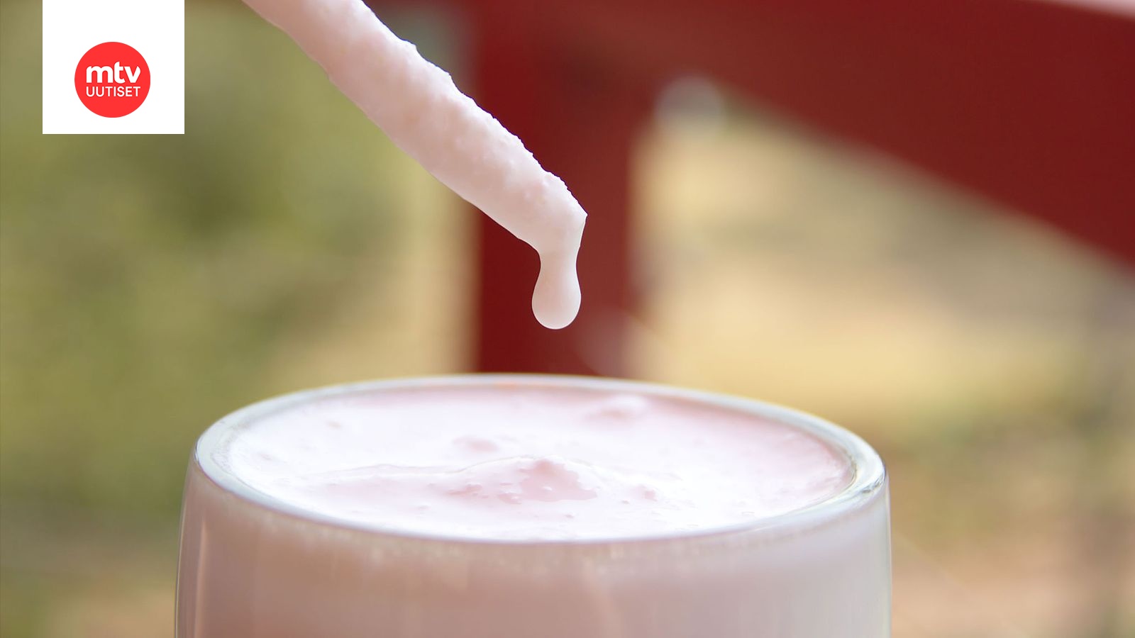 Tämä juoma on oikea proteiinipommi – ja maistuu ihan vaniljapirtelöltä! |  Makuja | MTV Uutiset
