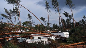 Veera-rajuilmassa kaatuneita puita Hietasaaren leirintäalueella Uuraisilla 4. elokuuta 2010.
