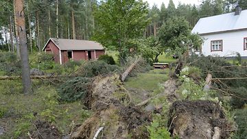 Helena-rajuilma katkoi puita pihapiirissä Kouvolan Vuohijärven Ritaniementiellä 1. elokuuta 2014.