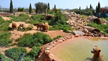 Attica Zoological Park 8