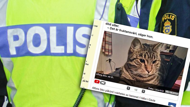 Poliisi ja kissa