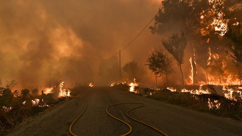 Portugal maastopalo metsäpalo