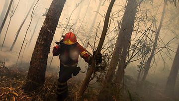 Portugalin metsäpalot elokuu 2016