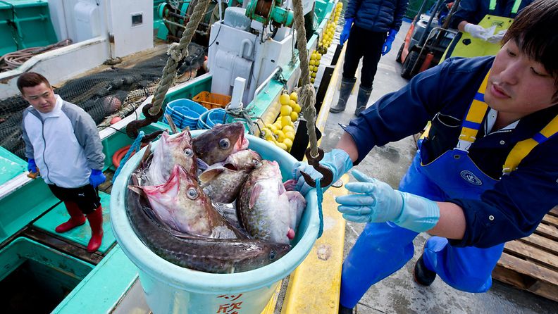 Fukushima kalateollisuus