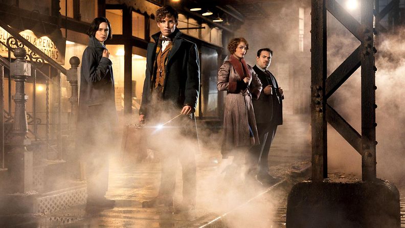 Fantastic Beasts and Where to Find Them 2016 3