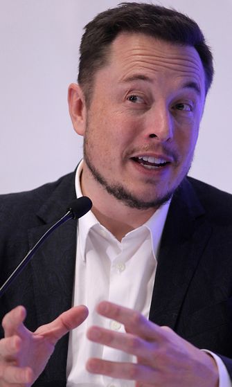 Elon Musk (1)