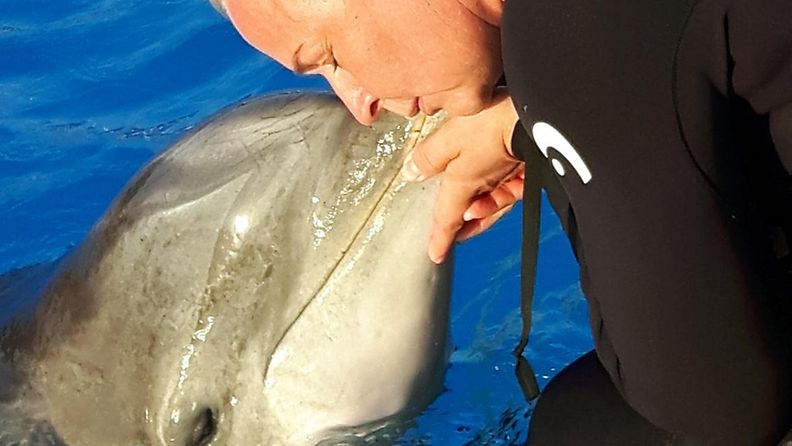Veera-delfiini Kreikassa