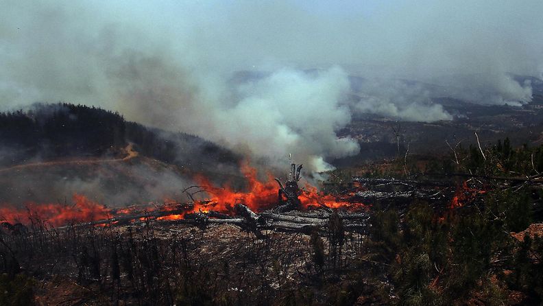 chile maastopalo metsäpalo