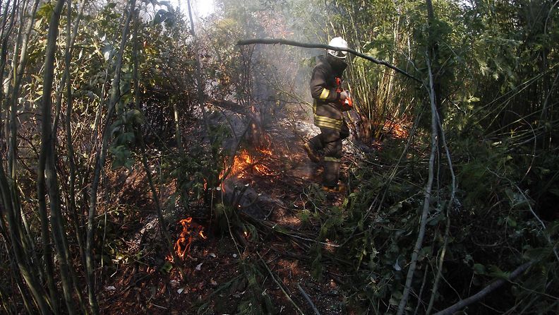 chile maastopalo metsäpalo (2)