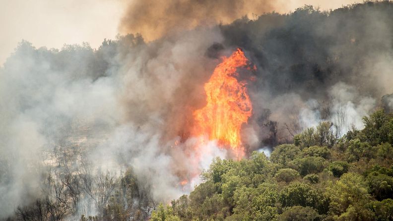 chile maastopalo metsäpalo (3)