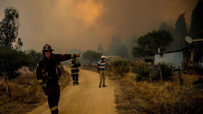 chile maastopalo metsäpalo (4)