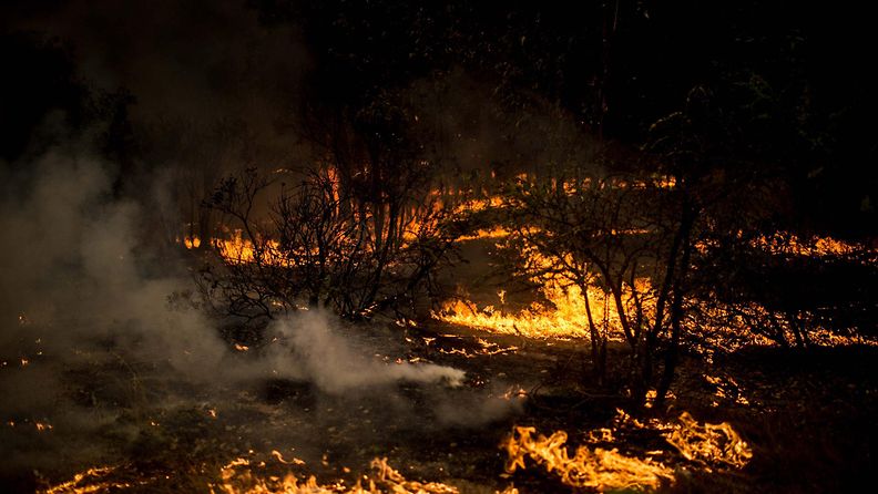 chile maastopalo metsäpalo (5)