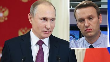 Putin Navalnyi