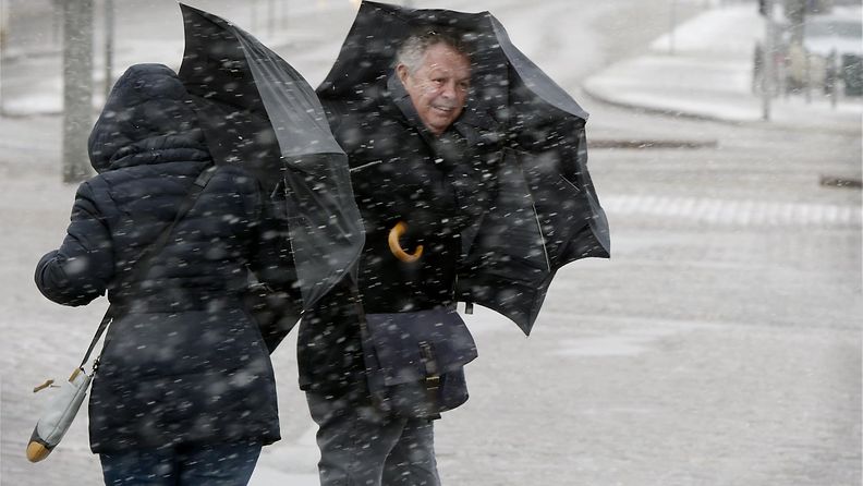 Epävakainen sää tuo koko maahan tällä viikolla lunta ja räntää. Jalankulkijat yrittittivät suojautua kovalta tuulelta ja rännältä sateenvarjoilla Helsingissä maanantaina 30. maaliskuuta 2015. 