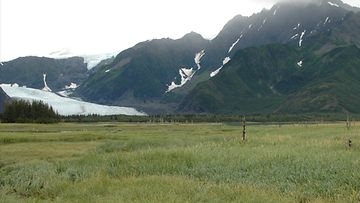 B-Pedersen Glacier Melt Alaska