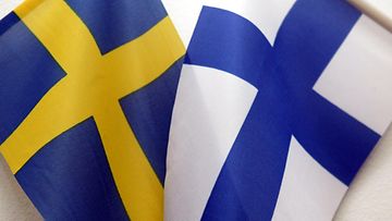 ruotsin lippu suomen lippu