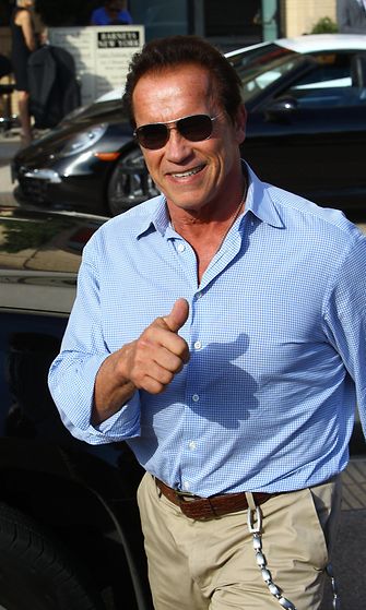 Arnold Schwarzenegger 2013