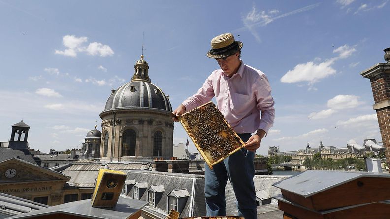 Mehiläiset Pariisissa