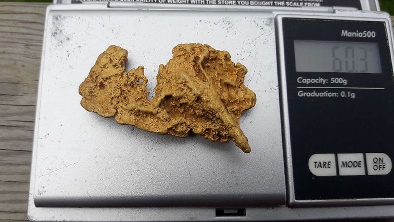 Lemmenjoelta löytynyt 60-grammainen veistoksellinen "Fossiili" -kultahippu