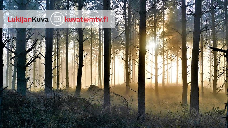 Lukijan kuva: Keijo Väänänen syksy Uusikaupunki aurinko sumu ruska kuura (1)