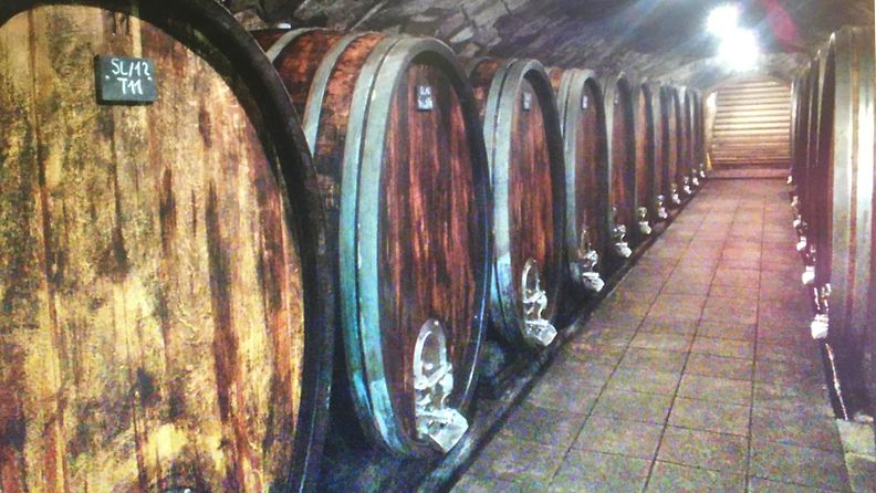 Hienostuneet punaviinit valmistuvat tammitynnyreissä Umathumin viinitilalla Itävallassa Neusiedler Seen rannalla.