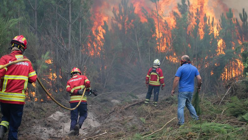 Portugali metsäpalo maastopalo (1)