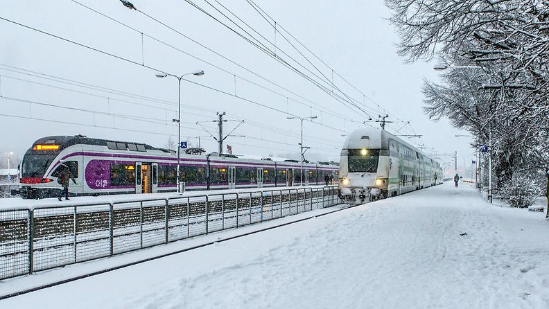 AOP Junia Suomessa talvella kuvituskuva